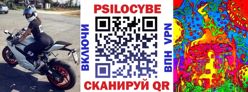 Купить  Агидель  Псилоцибиновые грибы прущие грибы 